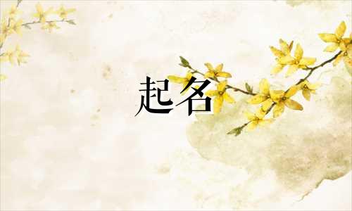 公司起名要看哪些书好听