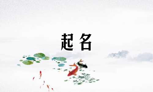 公司起名忌讳哪些字母呢