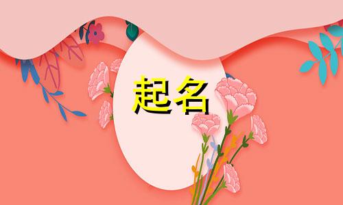 商标起名原则有哪些字
