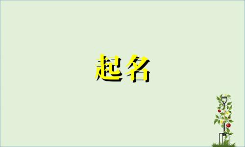 起名能带哪些字旁的字