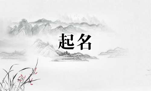 偶像起名方式有哪些呢