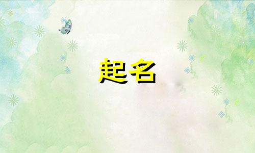 卖糖果起名软件有哪些