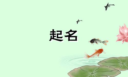 男孩起名需要哪些资料好