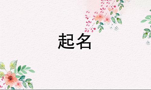 广州起名公司有哪些好