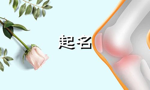 生肖马起名有哪些好字