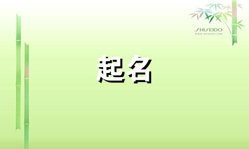 现实中起名机器有哪些
