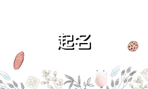 猪年起名适合用哪些字