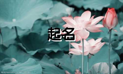 刘禹锡的古诗起名有哪些