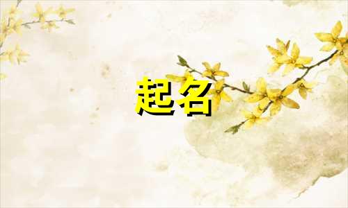 起名最多的字眼有哪些