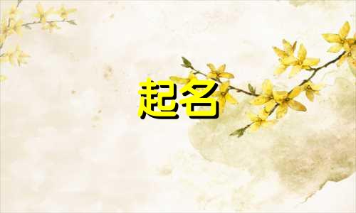 屏幕名称起名软件有哪些