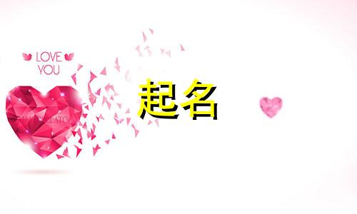 熊猫起名方法有哪些英文