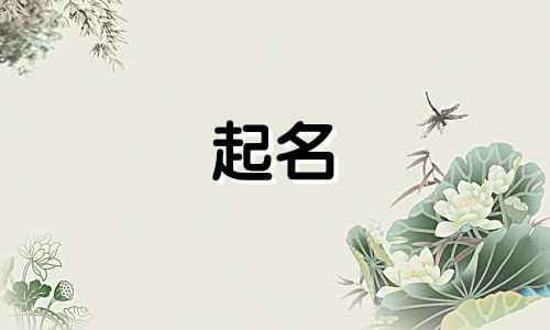 写作起名神器有哪些软件