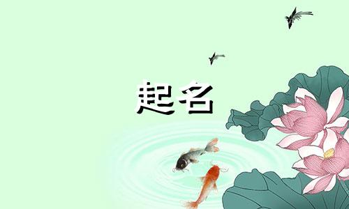 起名麻烦的事情有哪些