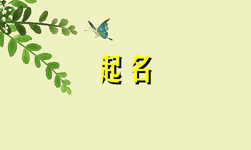 猫咪起名姓氏有哪些好听