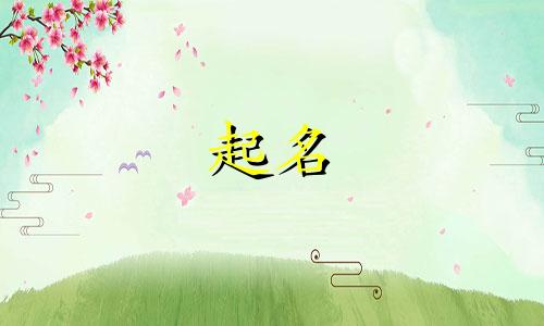 起名测试智商方法有哪些