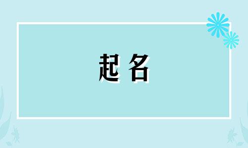 用家起名的中介有哪些