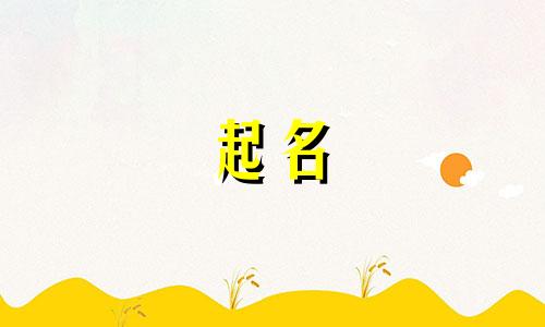 仓鼠起名软件有哪些好用