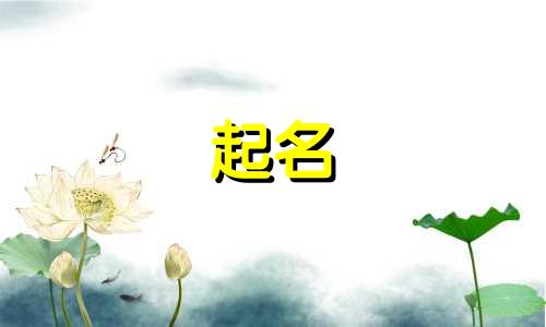 漳州公司起名老师有哪些