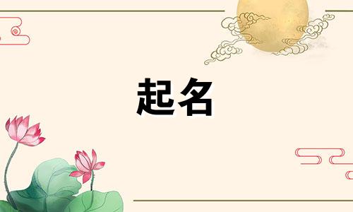 乌鲁木齐新公司起名有哪些