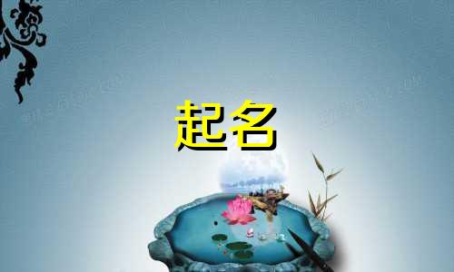 公司起名明星有哪些名字