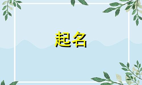 孩子起名看哪些书籍最好