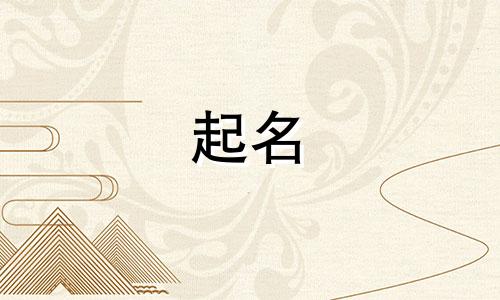 智能养老起名公司有哪些