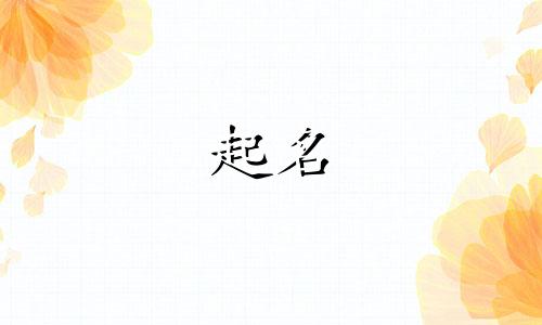 地毯起名独特名字有哪些