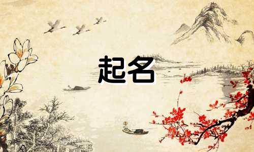 起名改名风水大师有哪些