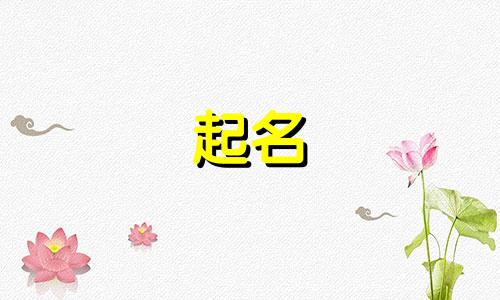 杭州大师起名店铺有哪些
