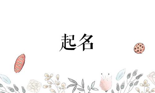 周易研究起名都有哪些名字