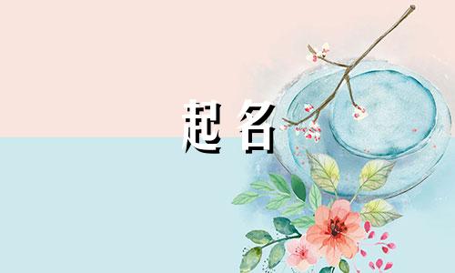 母婴陈列起名技巧有哪些
