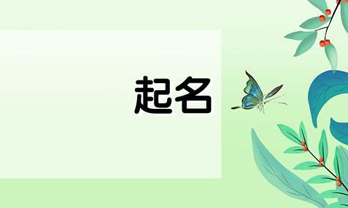 汽车起名外号有哪些字