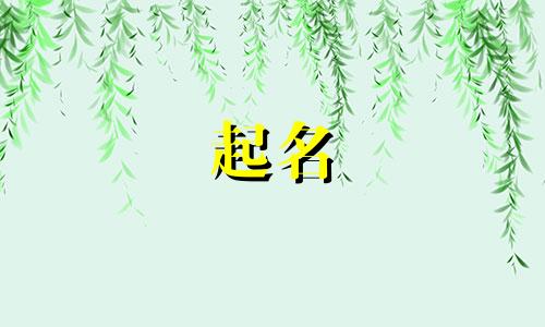 兔子起名好字有哪些好听