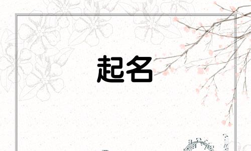起名改名的老师有哪些
