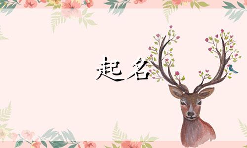公司起名要看哪些书好