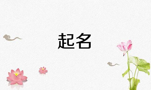 房子起名后缀有哪些字体