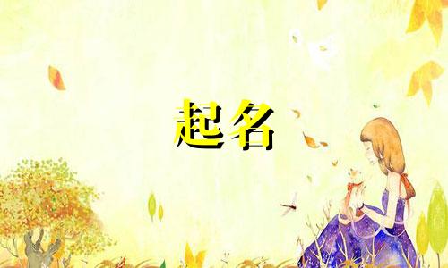 公司起名规范要求有哪些