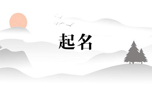 动物带白字起名有哪些