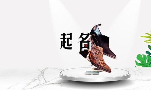 起名可以看哪些书写格式