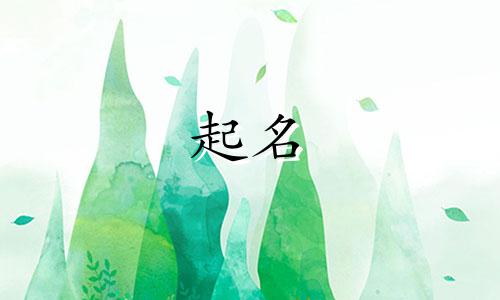 宝宝起名神器有哪些牌子