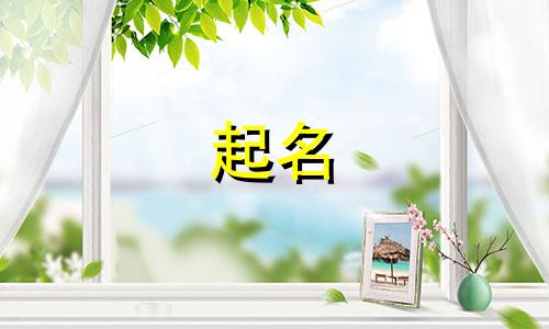 法律文件起名要求有哪些