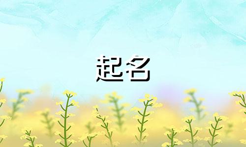 聊城起名的地址有哪些
