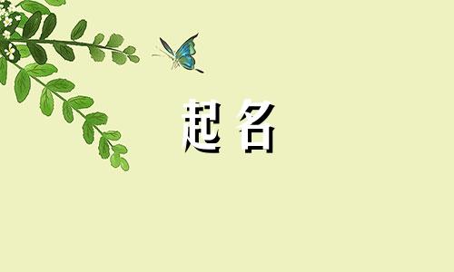 植物主主题起名有哪些