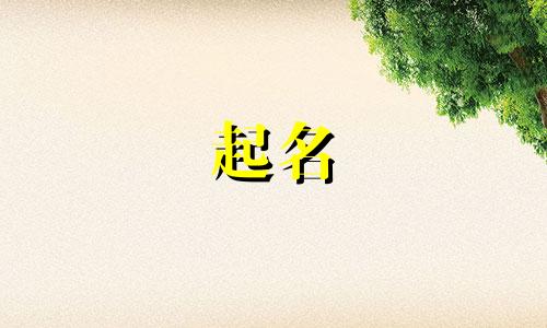 在德云社起名女孩有哪些