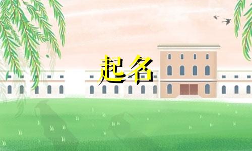 花店的起名创意有哪些