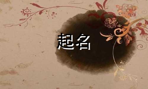 减肥产品起名工具有哪些