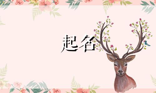 环保公司起名方法有哪些