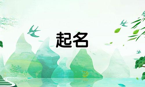 综艺起名规律有哪些内容