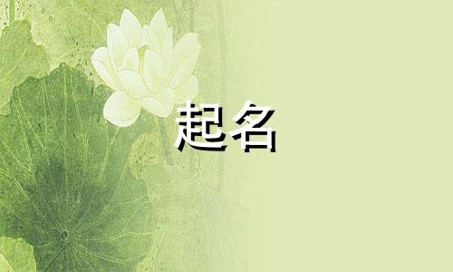 回族起名活动有哪些名字