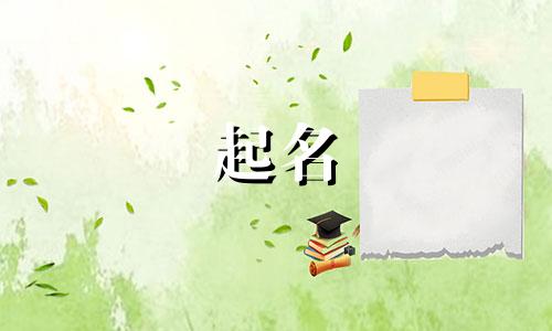 品名起名规则有哪些类型